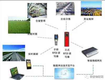 物联网赋能智慧物流 信息系统集成的创新之路